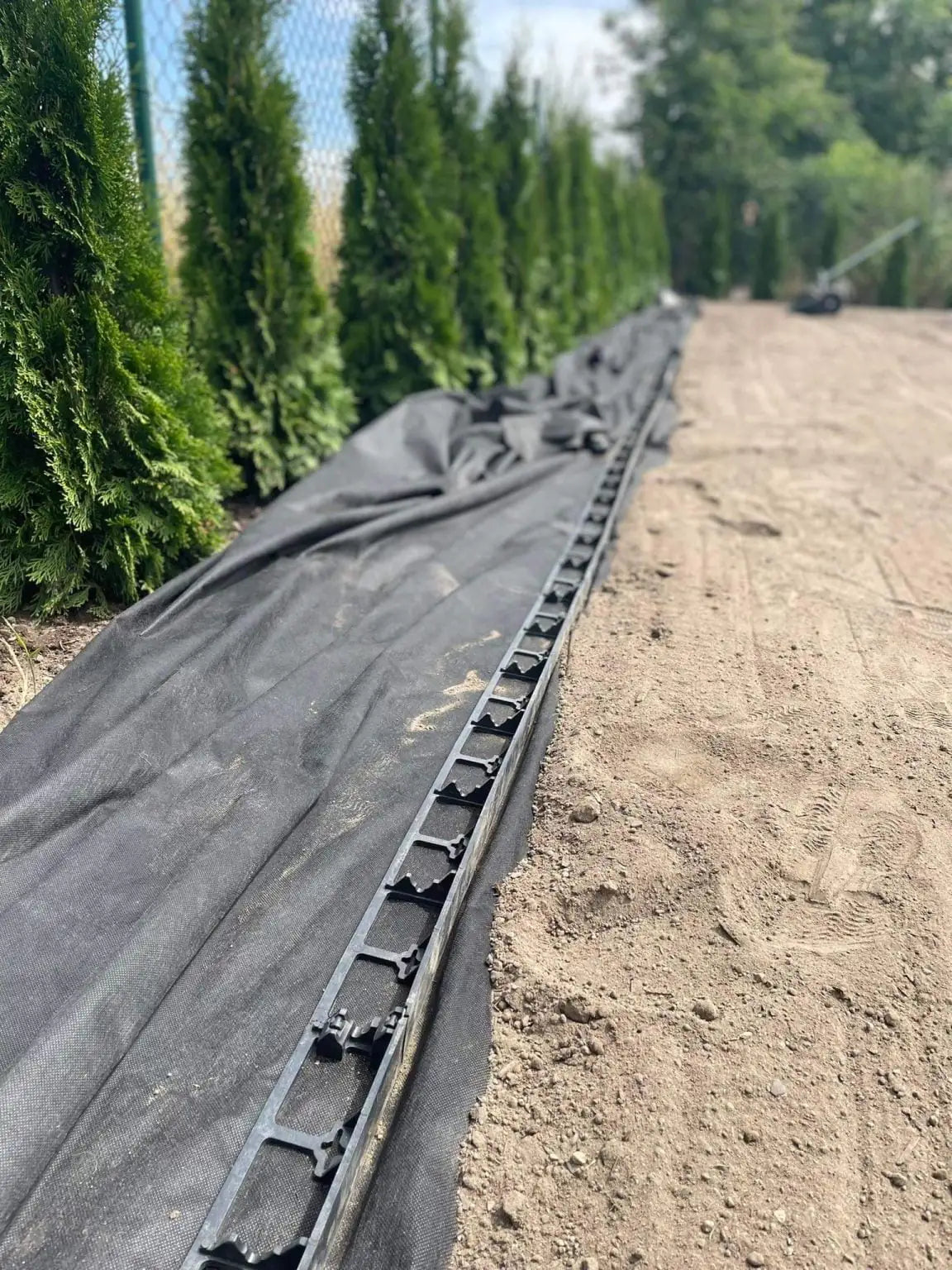 Kako pravilno odabrati i postaviti vrtne rubnjake za dugotrajnu ljepotu i funkcionalnost vrta 🏡