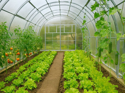 AGROMAX - 4m širina