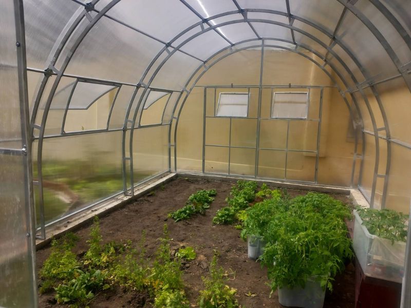 AGROMAX - 4m širina